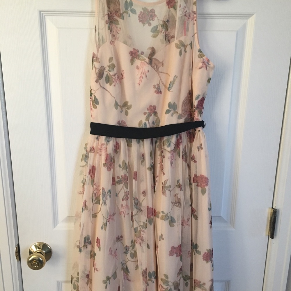 Lauren Conrad dresses